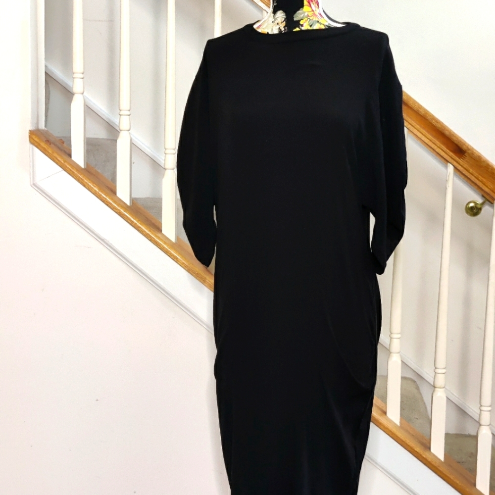 Zara Puff Sleeve Dress